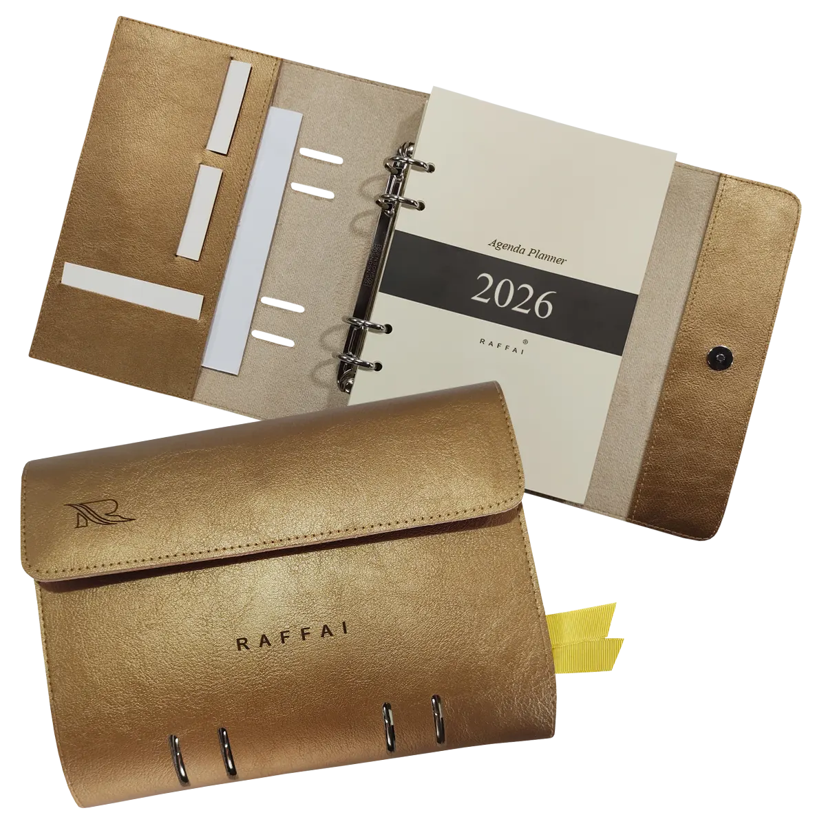 123R_Dourado_2026_01 copiar