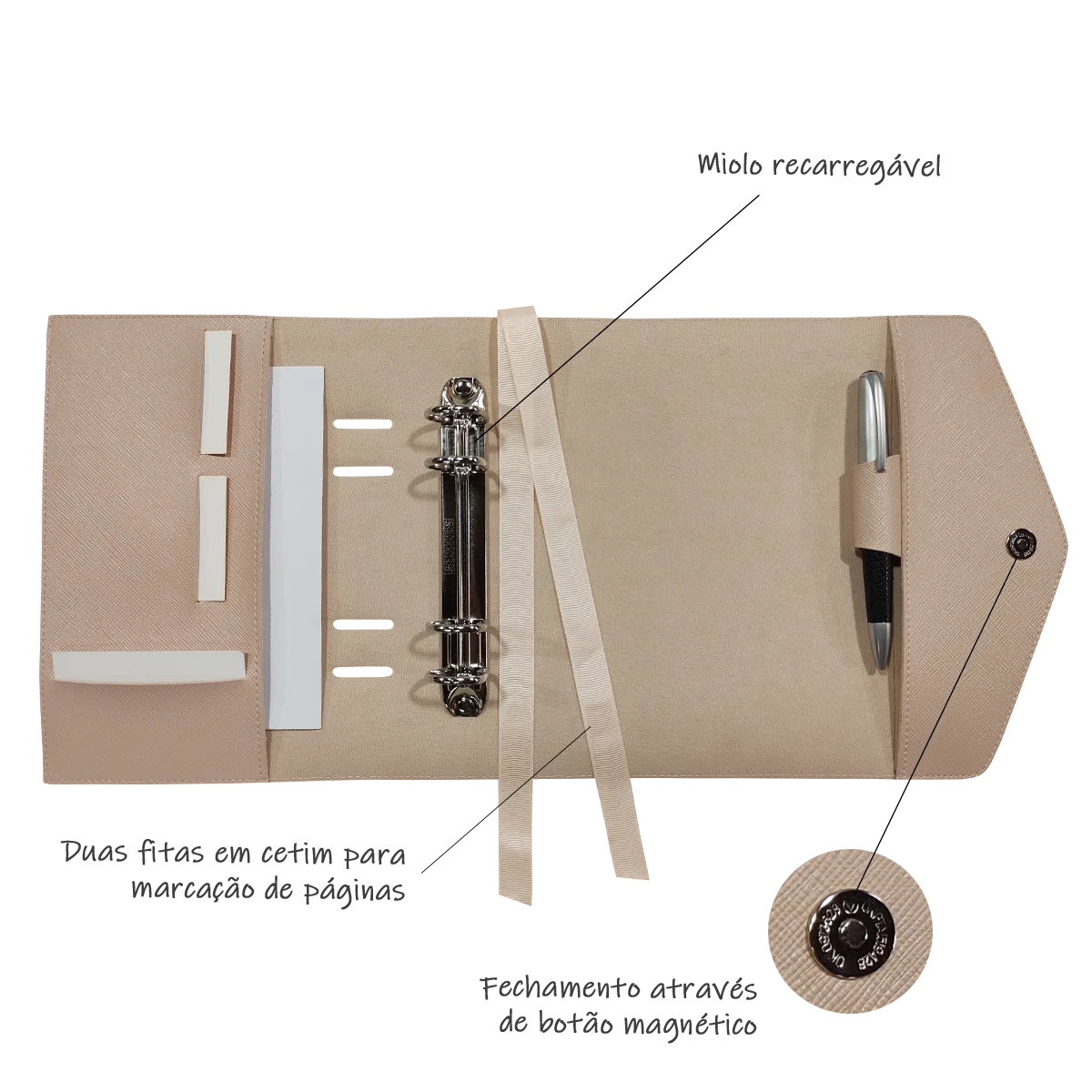 155R_Nude_2026_Layout_03