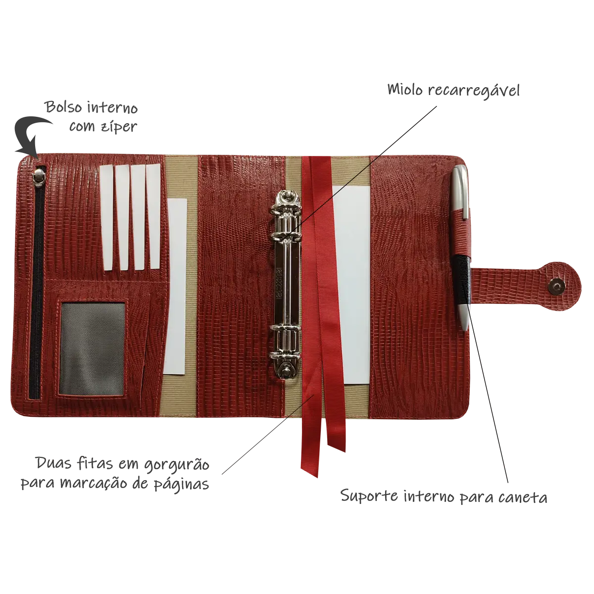 125_0000s_0018s_0002_3 copiar