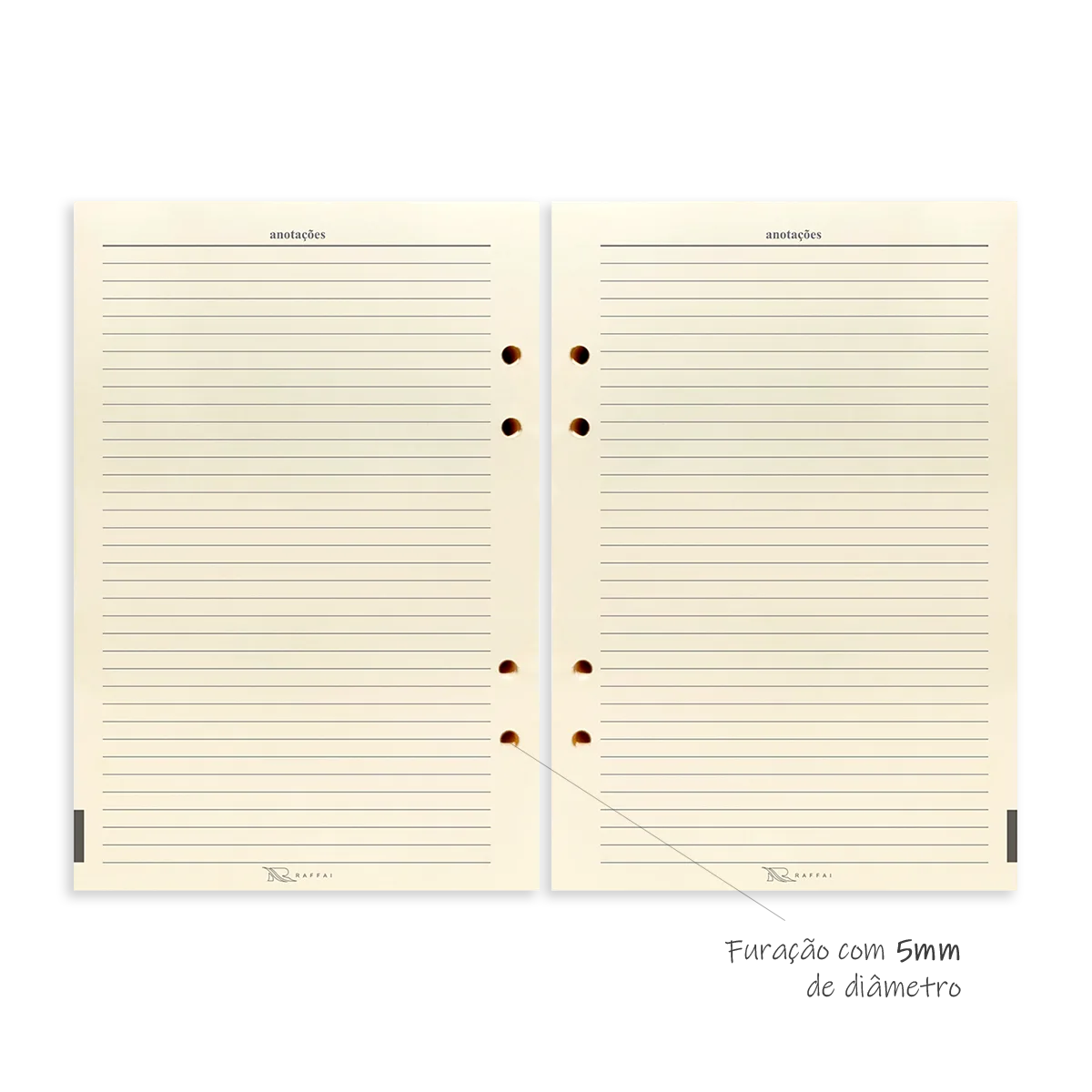 AG DIARIA_2026_Layout_5