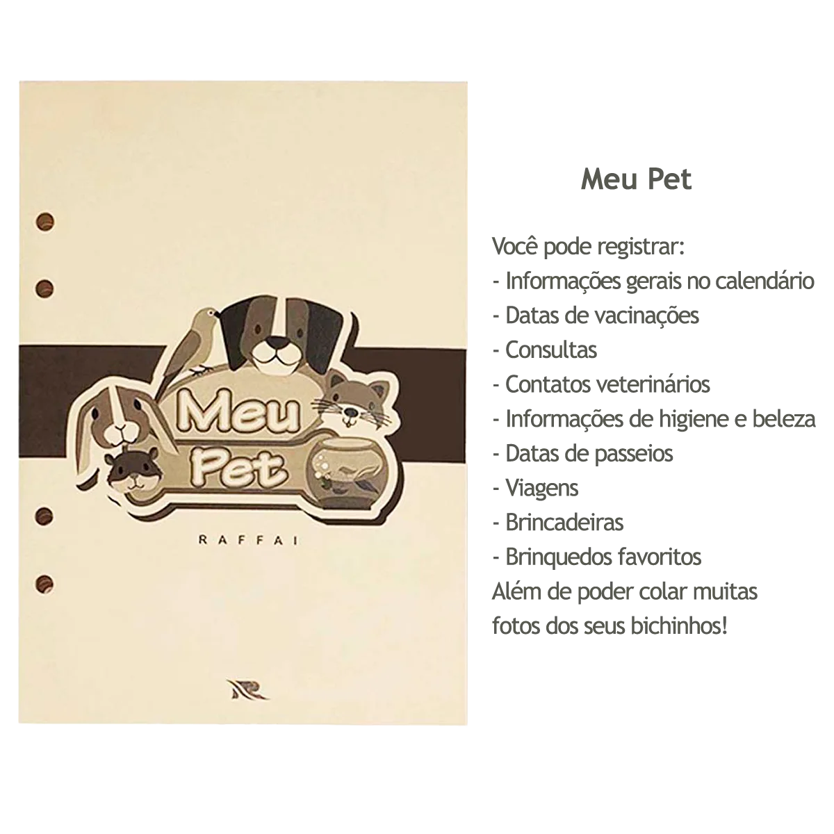 MEU PET_2027_Layout_02
