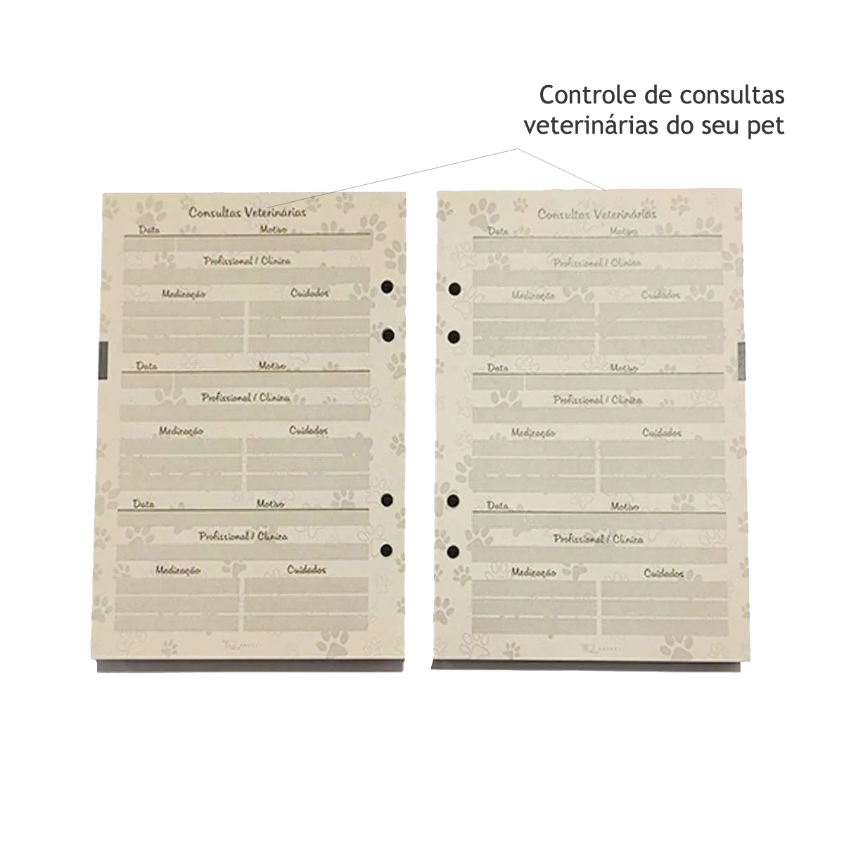 MEU PET_2027_Layout_05
