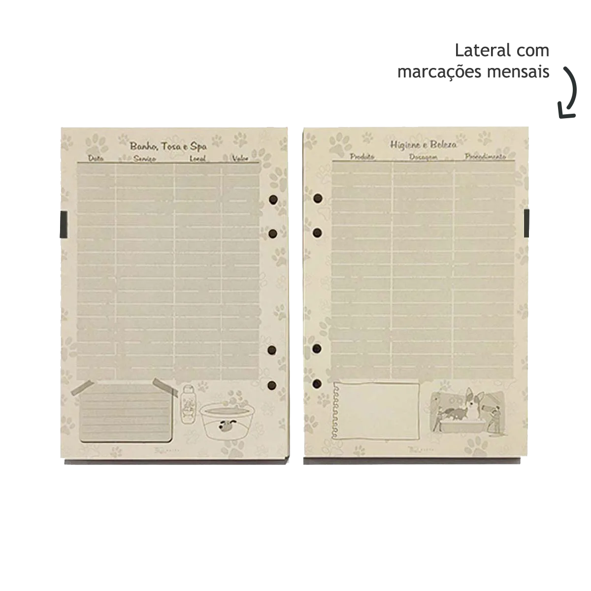 MEU PET_2027_Layout_07