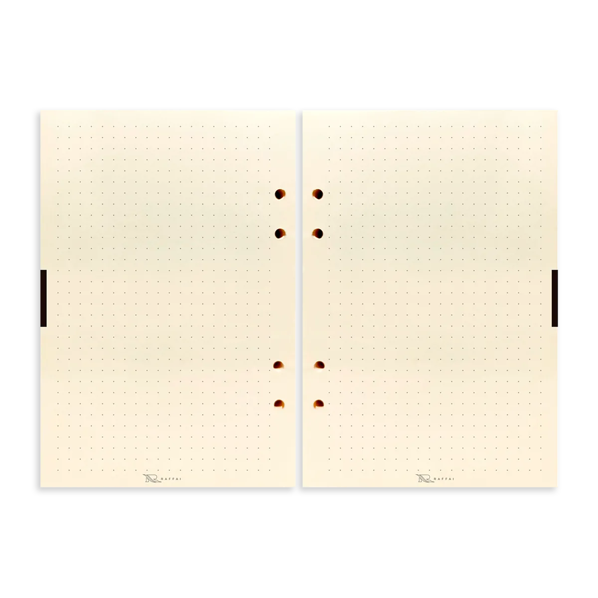 CAD-ORGANIZER_2026_Layout_7-copiar