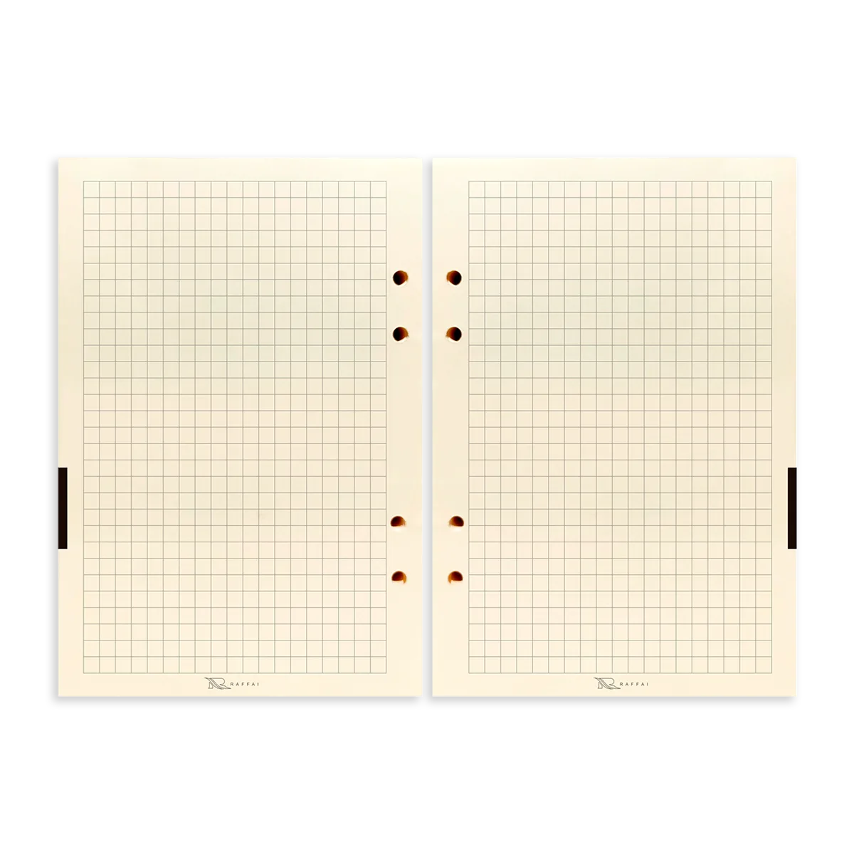 CAD-ORGANIZER_2026_Layout_8-copiar