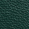 Verde Escuro